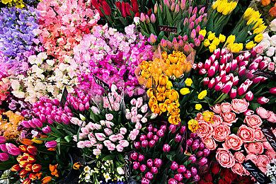 《光环1：战斗进化》重制版有望采用双引擎：虚幻5+Blam