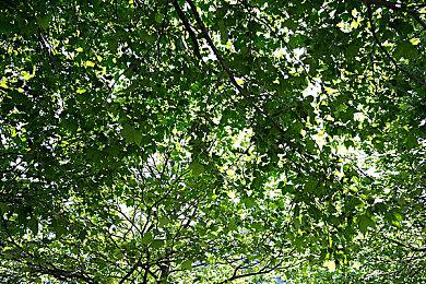 《星球大战：亡命之徒 黄金版》9月4日登陆Switch 2