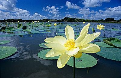 育碧回应《星球大战：法外狂徒》高级版限定任务争议